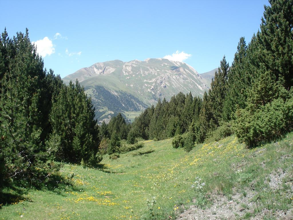 Xalet Riba - Hut 8077 Βίλα Arinsal Εξωτερικό φωτογραφία
